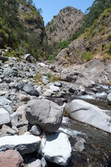 Madeira Wldbach