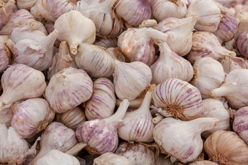 Heap of white garlic background, fresh garlic sold in the market. Top view of garlic cloves. Garlic texture for background.