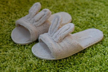 Home slippers with hare ears on green carpet