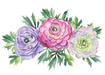 Watercolor flowers and leaves in vintage style. Ranunculus flowers. Floral isolated elements for wedding, invitation, greeting cards. Botanical illustration.