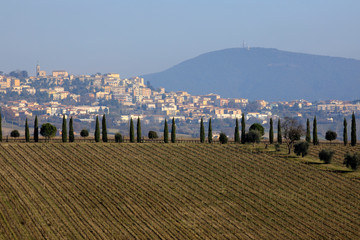 Ancona, Italy - January 1, 2019: A typical landscape in Marche country, Ancona, Marche, Italy