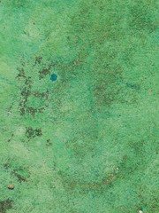 green grunge background