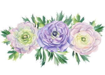 Watercolor flowers and leaves in vintage style. Ranunculus flowers. Floral isolated elements for wedding, invitation, greeting cards. Botanical illustration.