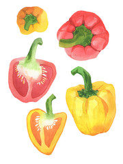 set of colorful peppers isolated on white background