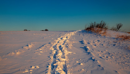 A winter field covered with snow - a ski track that goes into the distance