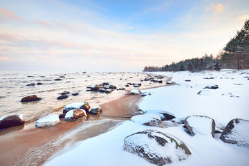 A view of the snow-covered Baltic sea coast at sunset. Stones in the water close-up. Coniferous...