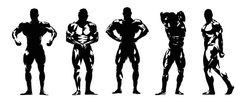 Bodybuilding posing, group of isolated vector silhouettes. Ink drawing, set of isolated bodybuilders with big muscles