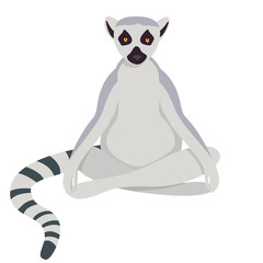 Lemur doing yoga. Cute animal in cartoon style isolated on white background.