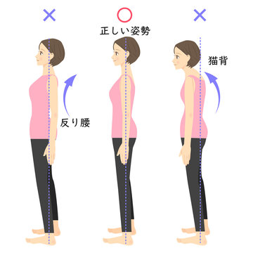 良い姿勢 Images Browse 61 Stock Photos Vectors And Video Adobe Stock 良い姿勢 Images Browse 61 Stock Photos Vectors And Video Adobe Stock