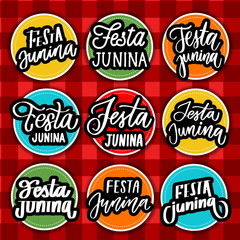 Fototapeta na wymiar Festa Junina - modern lettering stickers.