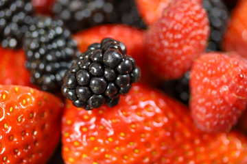 tas de fruits rouges frais (framboises, mures, et fraises)