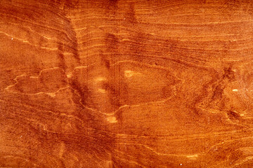 Texture, background in the form of a tree.