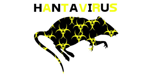 Health issue on Hanta virus  vector illustration