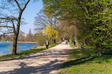 The forest park in Mannheim located directly on the Rhine during the corona isolation with few walkers on 25.03.2020 - obrazy, fototapety, plakaty