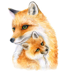 Fototapeta premium Foxes. Mum with a child isolated on a white background. Fox mum and baby. Watercolor. Template. Clipart. Mothers Day. Greeting card design. Concept of love, motherhood. Breast-feeding. Emblems.