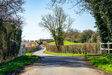 English country lane in spring