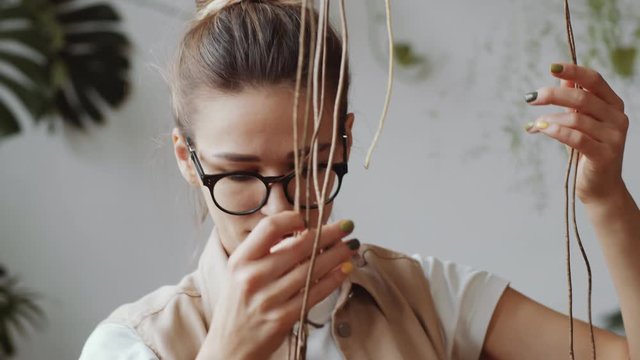 Young pretty Caucasian woman in glasses examining long dangling aerial roots of houseplant while taking care of plant in indoor garden