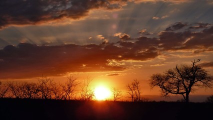 tramonto africano