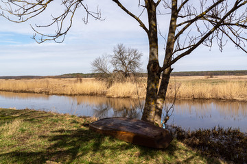 Wiosna na Podlasiu. Wiosna w Dolinie Górnej Narwi. Podlasie, Polska © podlaski49