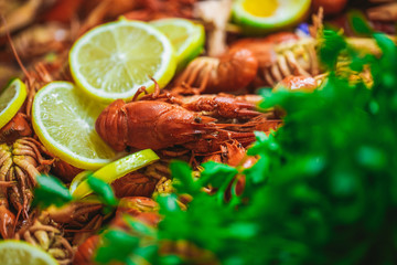 Closeup view photography of tasty organic boiled red crayfishes on dish decorated with slices of yellow lemons and green fresh leaves.