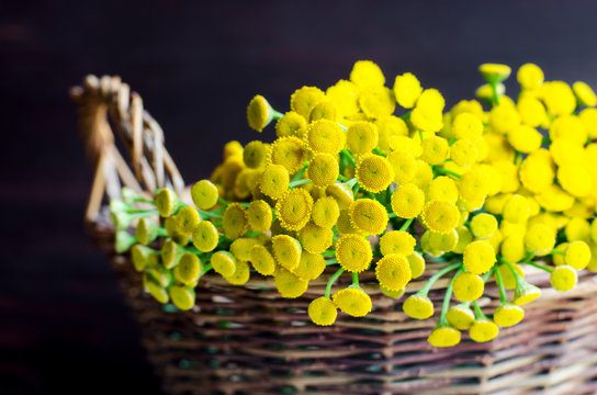 Basket with blue tansy flowers. Dark background. Selective focus. Close up, copy space