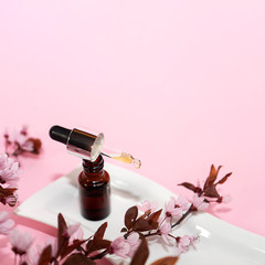 Herbal oil or serum in dropper bottle and cherry blossoms sakura on pink background.