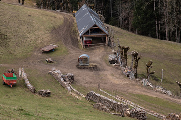 Coupe de bois