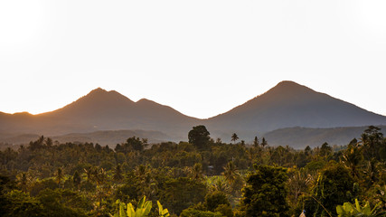 Beautiful views of the forest and mountains at sunrise