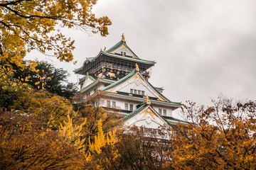 Osaka Castle in Autumn