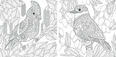 Coloring pages. Cute birds sitting on tree branches. 
