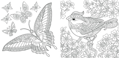 Coloring pages. Vintage butterfly collection. Bird in flourish garden. 