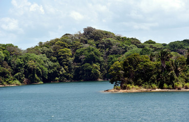 Green landscape of Panama Canal, view from the transiting cargo ship.