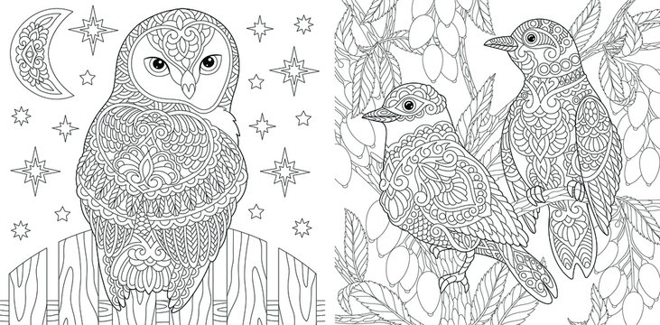 Coloring pages. Beautiful owl and couple of lovely birds in the garden. 