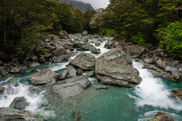whitewater rapids in the forest