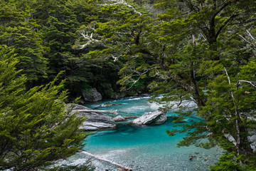 pristine turquoise river in the forest along routeburn track