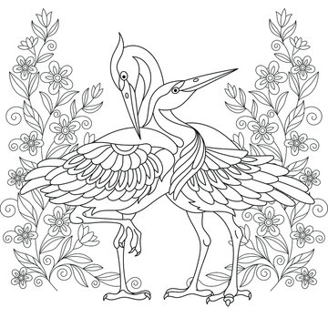 Coloring page. Beautiful crane birds among flowers. 