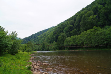 Fototapeta premium Mountain river flows near the mountains and coniferous forest under a blue sky on a sunny day
