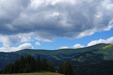 Panoramic view of the Carpathian mountains covered by a green forest under a blue sky and white...