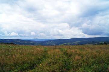 Fototapeta na wymiar Panoramic view of the Carpathian mountains covered by a green forest under a blue sky and white clouds