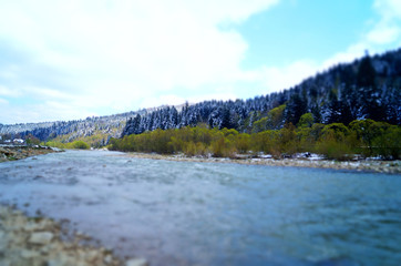 Fototapeta na wymiar Mountain river flows near the mountains and coniferous forest under a blue sky on a sunny day