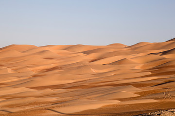 Fototapeta na wymiar Sanddünen in der Wüste in den Vereinten arabischen Emirate.