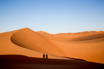 Fototapeta na wymiar Schatten in den Dünen in der Wüste in den Vereinten arabischen Emirate.