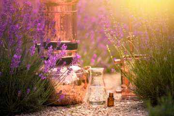 Distilling apparatus alembic with esential oil between of lavender field lines. Lavender flower field, illustration of essetial oil distillation.