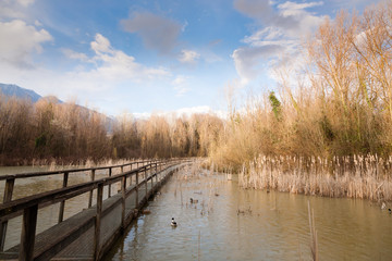Old wood footbridge on lagoon, rural landscape
