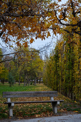Obraz na płótnie Canvas View from Augarten park in Vienna Austria
