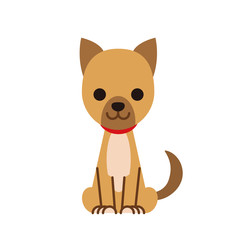 犬・子犬・ペット