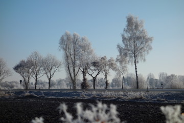 Winter landscape in Germany with ice crystals on the plants in Bavaria, Germany