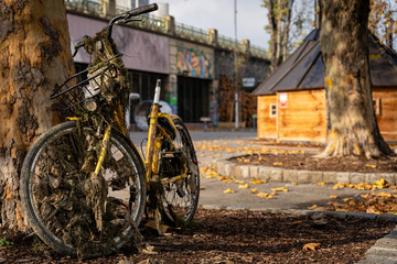 An abandoned bike pulled from the river in Vienna Austria