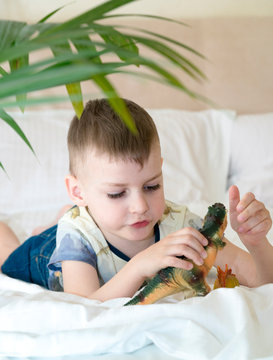 boy playing with dinosaurs on bed