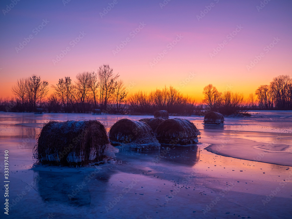 Wall mural Winter hay bale